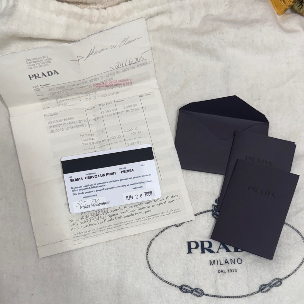 Prada Fairy Bag in Peonia James Jean Collaboration - Picture 16 of 16